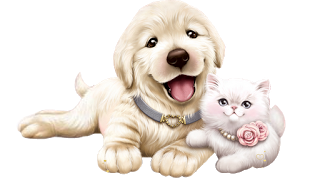 a puppy and a kitten 